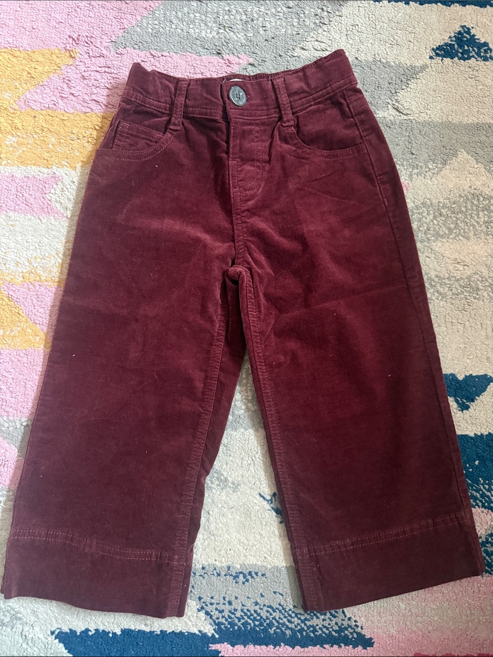 ZARA Velvet Pants
